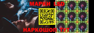 spice Бийск