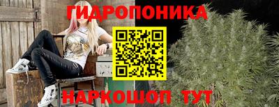 винт Берёзовский