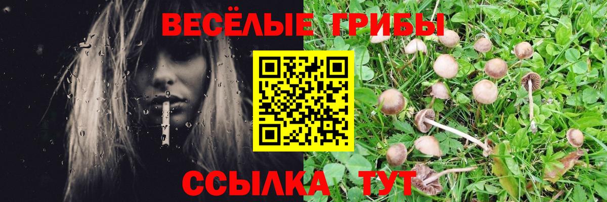 Галлюциногенные грибы Magic Shrooms  Вход с VPN  Псилоцибиновые грибы Psilocybine cubensis  купить закладку  Кисловодск 